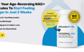 New Product: Liposomal NMN by Genuine Purity