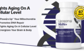 New Product: Liposomal NMN by GenF20!